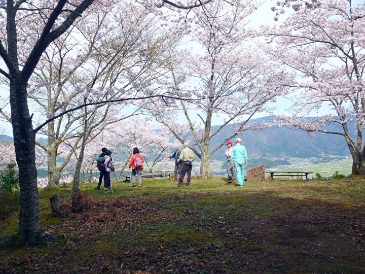 kosumosutounkai_1.jpg